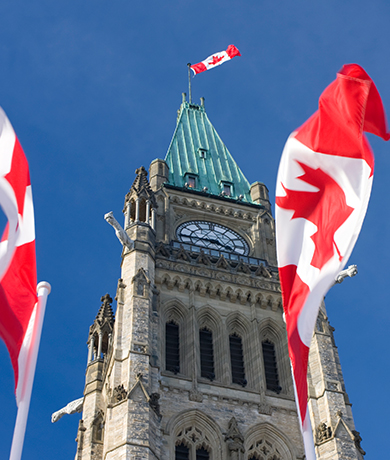 Intelli Management Consulting - Canadian Immigration